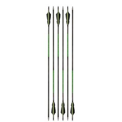12X 30″ Pure Carbon Arrows Spine300 500 Natural Feathers ID6.2mm Hunting Target