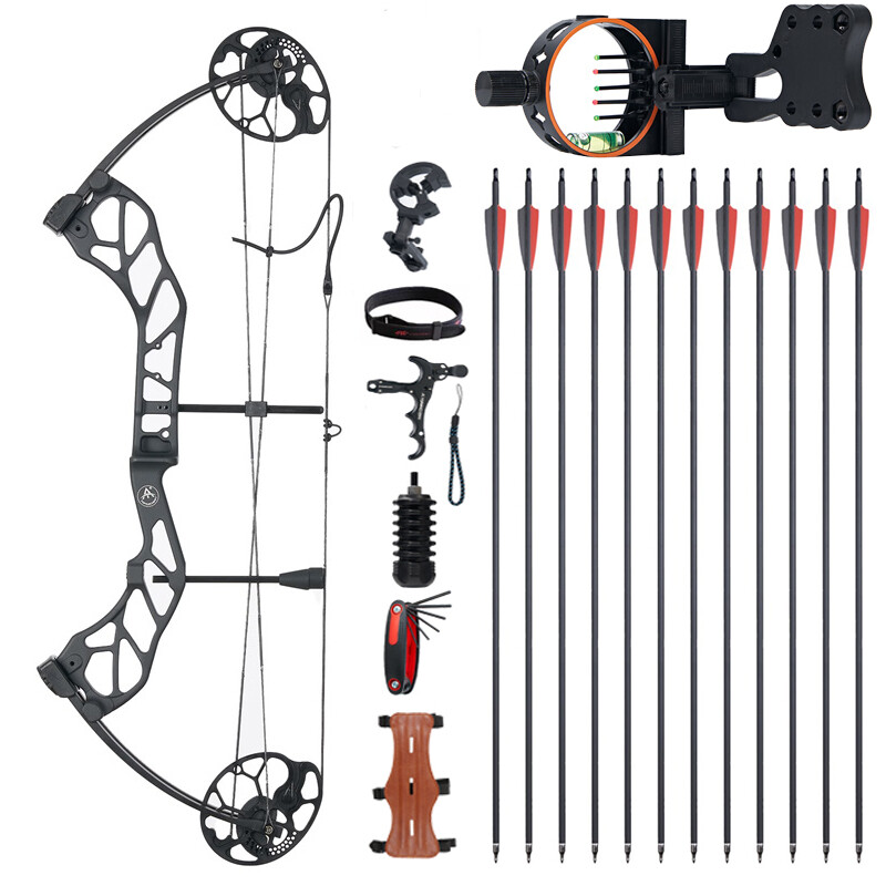 19-70lbs Adjustable Hunting Compound Bow Set 320FPS for Archery RH Shooting
