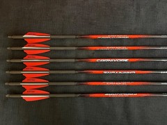 Black Eagle Carnivore 350 .003 Fletched 2.5″ Fusion Vanes Super Sorted 6pk NEW