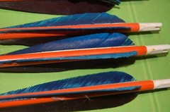 Ben Pearson Vintage Archery Hunting Arrows For Recurve/Long Bow – 6 Arrows