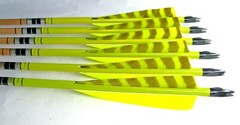 6 MATCHED WOOD ARROWS 31″ BOP