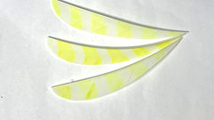 5″ New-50pack FREE SHIPPING! Right Wing Real Turkey Feather forArrows and Darts
