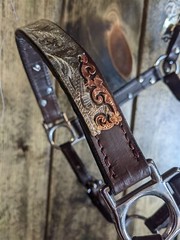 Silver Show Halter – Dark Oil – Silver & Copper Accents – Horse Size -Lead Shank
