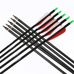 30 Inch Carbon Arrows Spine 500 For Compound/Recurve Bow Hunting Removable Tips