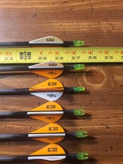 Easton Axis N-Fused 340 with 2″ Blazer Vane (Pack of 6) 27″