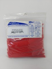 100pk Gateway Feathers 5″ Left Wing: Shield Rose Red 500LSSRR-100