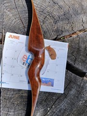 Vintage Browning Archery Nomad 1 recurve 49#