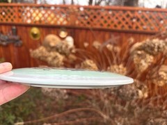 2020 Gregg Barsby (Rare Silver) Tour Star Eagle Disc Golf Innova 175G #5051
