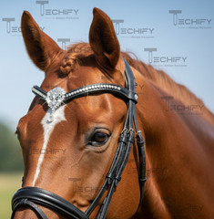 Crystal Teardrop Horse Browband Black Leather Bling Rhinestone Bridle Tack