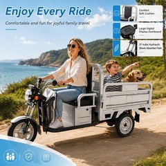 Electric Tricycle Cargo Truck 600W Free Shipping Electric Cargo Trike Orchard