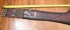 Voltaire, anatomical girth, brown, 52”, $460 for saddle