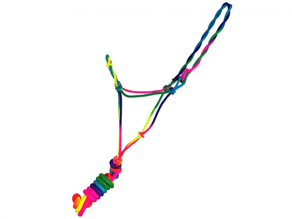 Pony Size Bright Multicolor Ombre Cowboy Knot Rope Halter w/ Lead