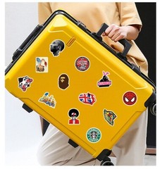 100 Pcs Funny Tags DC Vans Coal Bape Fashion Stickers Skateboard/Luggage/Laptop