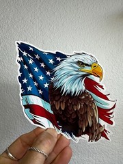 Bald Eagle American Flag Sticker fishing USA Patriot Sticker Boat Car Bumper