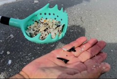 Rock Scooper, Sea Shell Scoop, Shark Teeth, Gift, Rock Collect, Rock Hunt Scoop