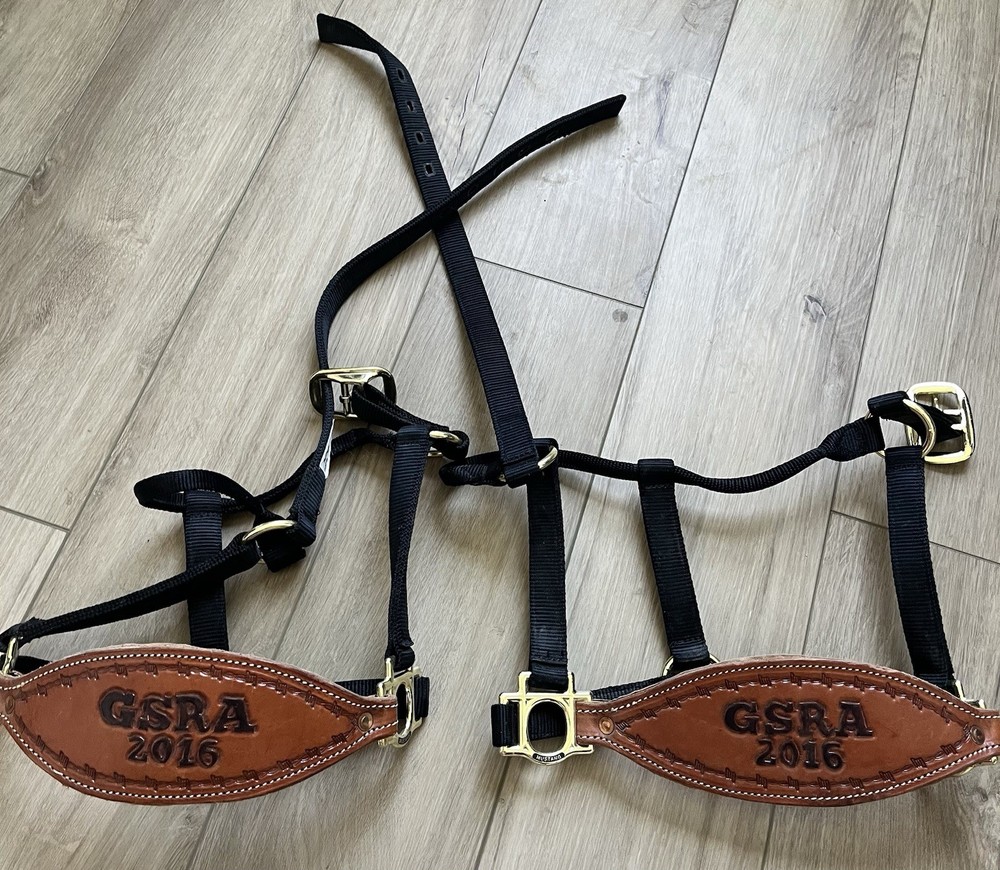 Bronc-Style Horse Halters Rodeo Leather Brass Nosebands GSRA 2016 Custom
