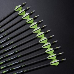 6-PACK 30″ Pure Carbon Arrows Spine 300/350/400 Archery Outdoor Hunting Target