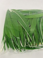 100 PACK TrueFlight 5″ Inch Archery Feathers Right Wing Parabolic Cut Green NEW