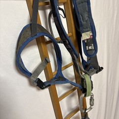Petzl Adjama Harness, Evolv Shoes Mens 10, Organic Chalk Bag, Climbing Lot