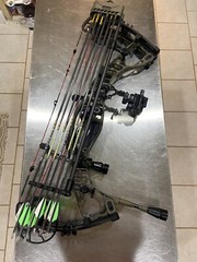 Hoyt VTM 31