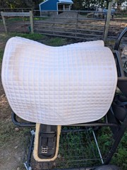 LeMieux Prosport Suede Dressage Pad White