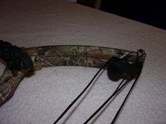 Bear Archery Warrior III Youth Compound Bow NICE