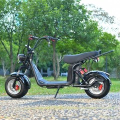 ehoodax 18 Inch Fat Tire Moped 3000W Motor Max Speed 28MI Removable Battery