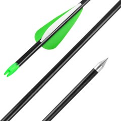 35lbs Mini Compound Bow Set Right Left Hand Archery Fishing Hunting Laser Sight