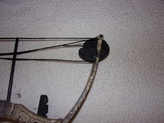 Bear Archery Warrior III Youth Compound Bow NICE