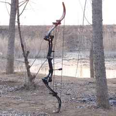 Compound Bow Kit 40-55lbs Archery Adults Hunters Outdoor Hunting Target Shooting