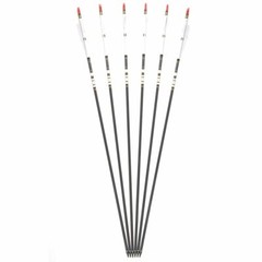 12x 30″ Archery Carbon Arrows Spine 500 Turkey Feather For Compound/Recurve Bow