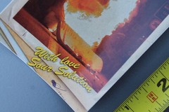 Sour Solution Skateboards Barcelona Spain Fire Punk Z75A Skateboarding STICKER