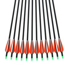 US 12 Pack 28/30/32 Inch Carbon Arrow Spine 500 for Compound/Recurve Bow Hunting
