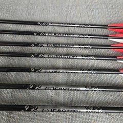 Easton Gamegetter XX75 Arrows 31 in Shafts 400 2117 Field points 7pc (used)