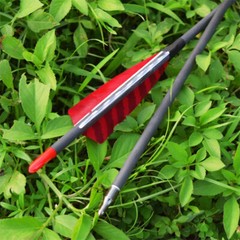 30″inch Feather Carbon Arrows SP600 Wood Shaft Archery Outdoor Targeting Hunting
