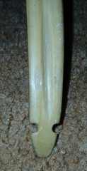 Vintage Ben Pearson Recurve Bow, No. 3350 60″ 30lbs(no string), Used