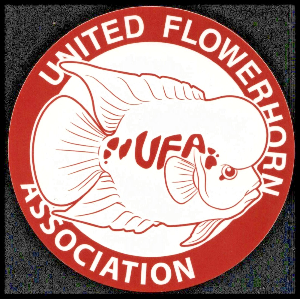 2016 United Flowerhorn Association Sticker 3 Inches x 3 Inches Skateboard Decals