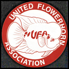 2016 United Flowerhorn Association Sticker 3 Inches x 3 Inches Skateboard Decals
