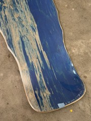 New Dogtown Aaron Fingers Murray Skateboard Deck Blue NOS