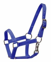 BLACK GREEN PINK PURPLE RED Nylon Adj Halter w Clip MINI Horse or PONY 5946