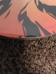 TA by Dorsa Sports Animal Print Skateboard, Muilti-color