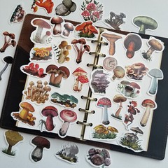 40pcs Vinyl Cute Mushroom Sticker Pack For Journaling,Scrapbooking,phone