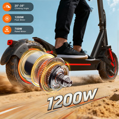 10» Off-road Electric Scooter for Adult 48V 13AH 30MPH-APP Commuting E-Scooter