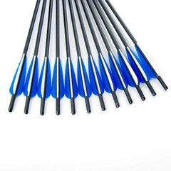 12Pcs 20Inch Crossbow Bolts Carbon Arrows /12Pcs Hunting Broadheads /Quiver Tube