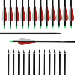 30 Inch Carbon Arrows Spine 500 For Compound/Recurve Bow Hunting Removable Tips