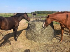 4′ x 5′ Round Bale Feeding Net Slow Feed 2.5″ ‎Hole Size, Durable Knotted Design