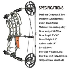 30-60lbs Compound Bow Kit Steel Ball Arrows Dual-use Archery Hunting Fish RH LH