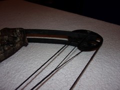 Barnett Archery Vortex Compound Bow