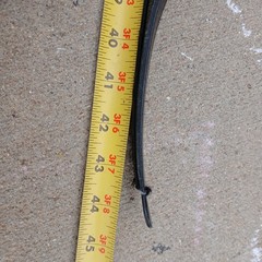 Martin Recurve Bow Archery Hunting