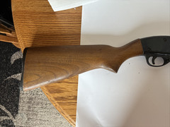 Crosman 1100 Trapmaster Co2 Powered Shotgun Air Shotgun Wood Stock